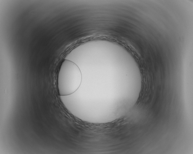 X0000114650773200910201000