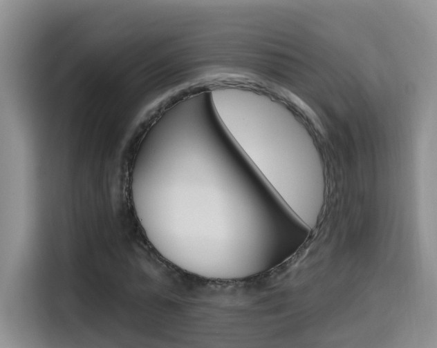 X0000114650775200910201000