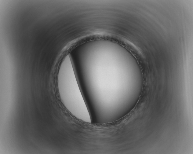 X0000114650776200910201000