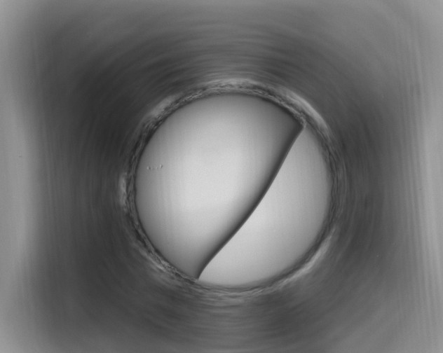 X0000114650777200910201000