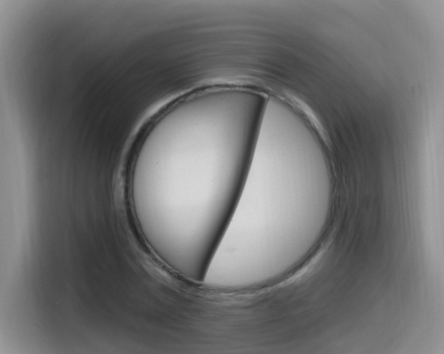 X0000114650779200910201000