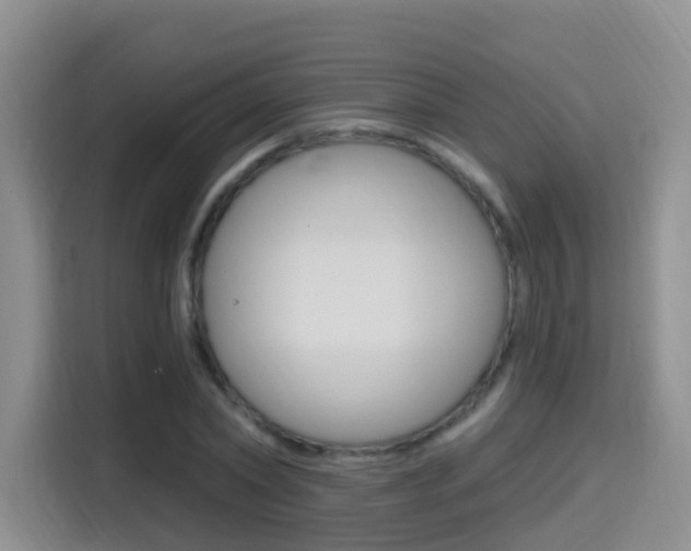 X0000114650782200910201000