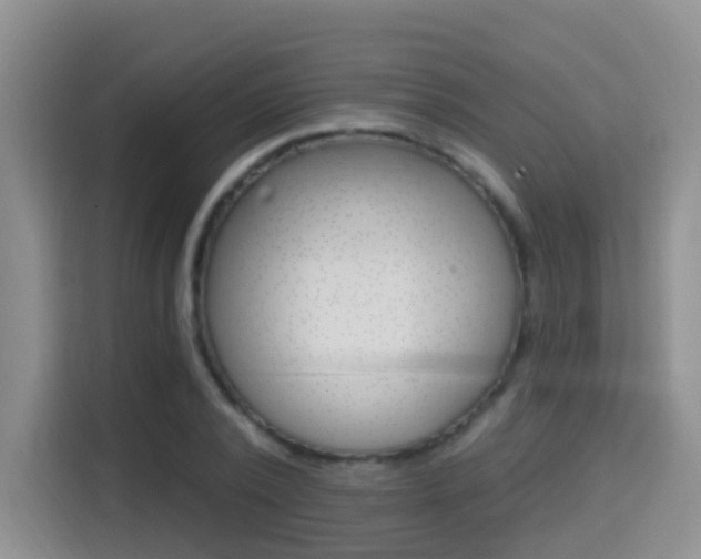 X0000114650784200910201000