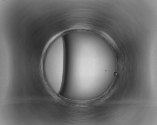 X0000114650788200910201000