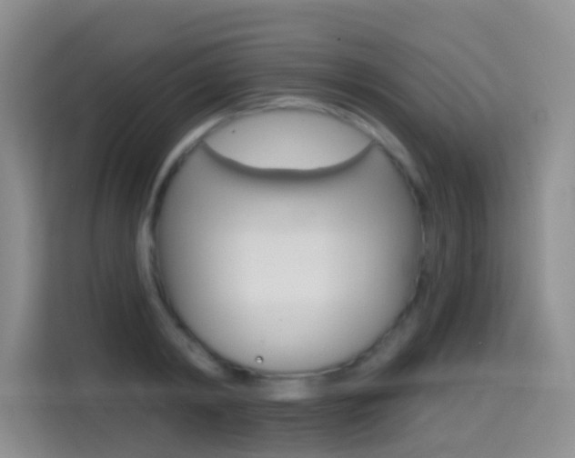 X0000114650798200910201000