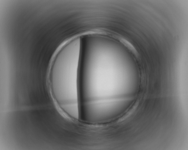 X0000114650800200910201000