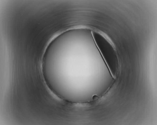 X0000114650805200910200959