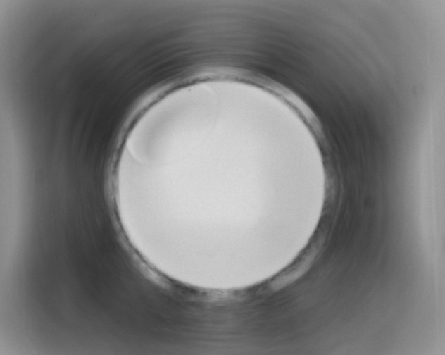X0000114650807200910200959