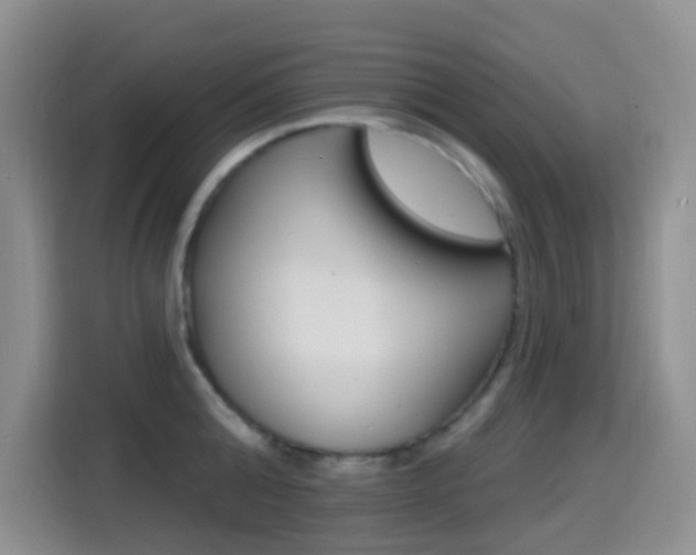 X0000114650808200910200959