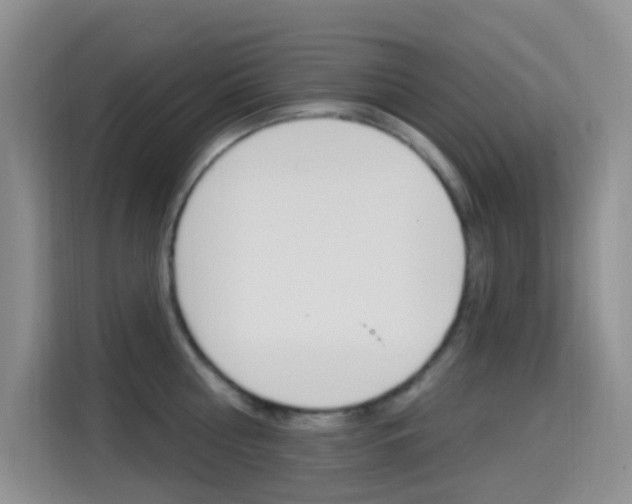 X0000114650810200910200959