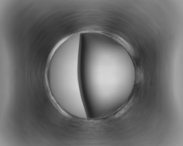 X0000114650812200910200959