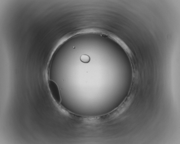 X0000114650813200910200959