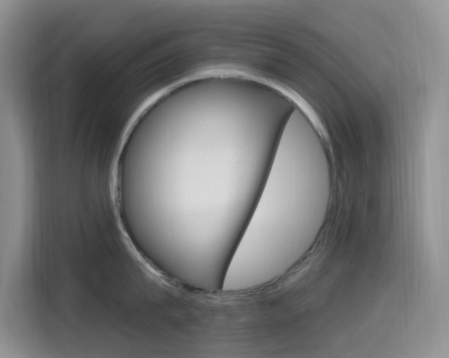 X0000114650815200910200959