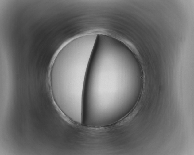 X0000114650816200910200959