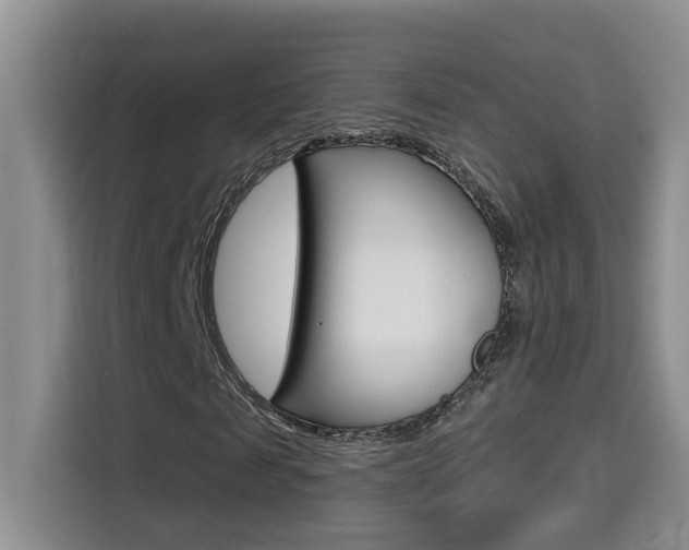X0000114650817200910200959