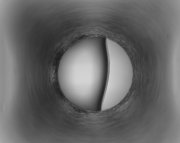 X0000114650818200910200959
