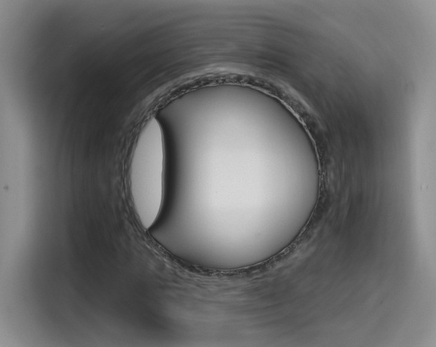 X0000114650821200910200959