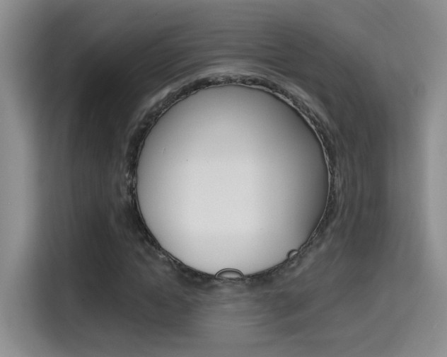 X0000114650822200910200959