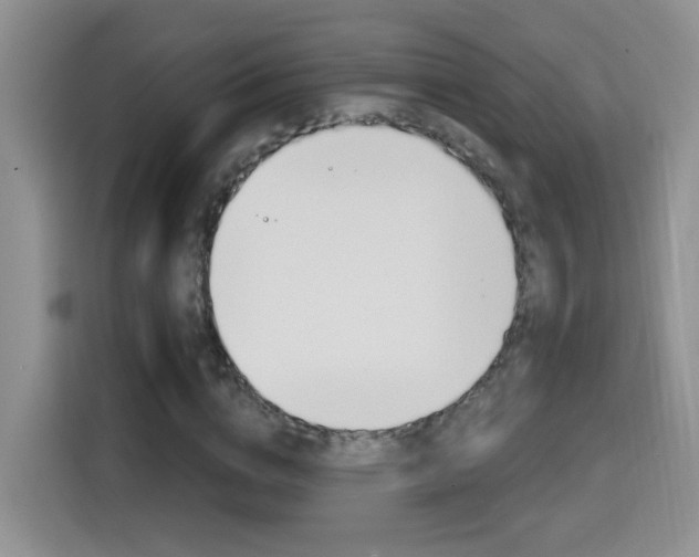 X0000114650824200910200959