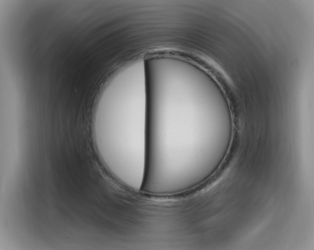 X0000114650825200910200959