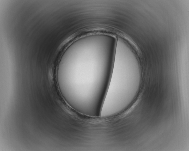 X0000114650826200910200959