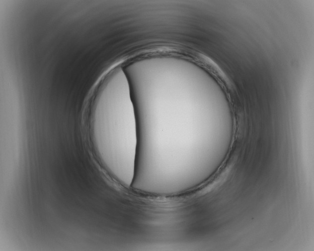X0000114650827200910200959