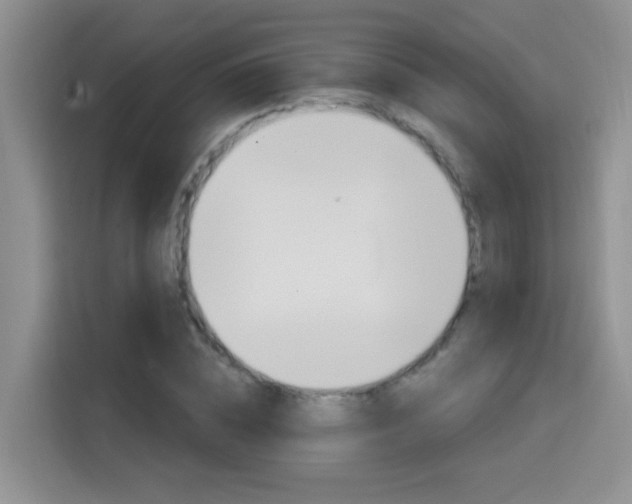 X0000114650828200910200959