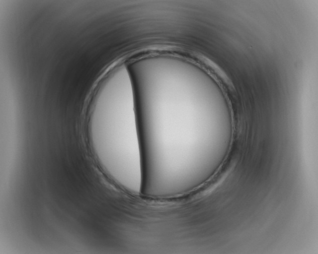 X0000114650829200910200959