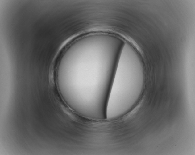 X0000114650830200910200959