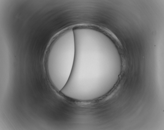 X0000114650831200910200959