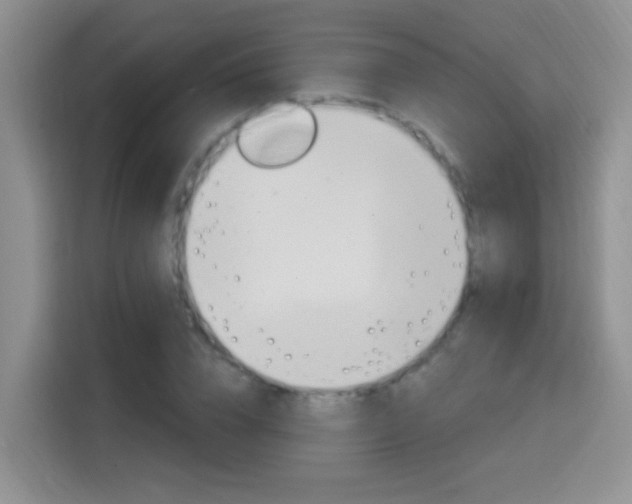 X0000114650832200910200959