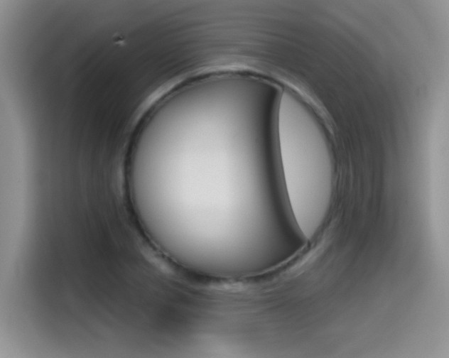 X0000114650834200910200959