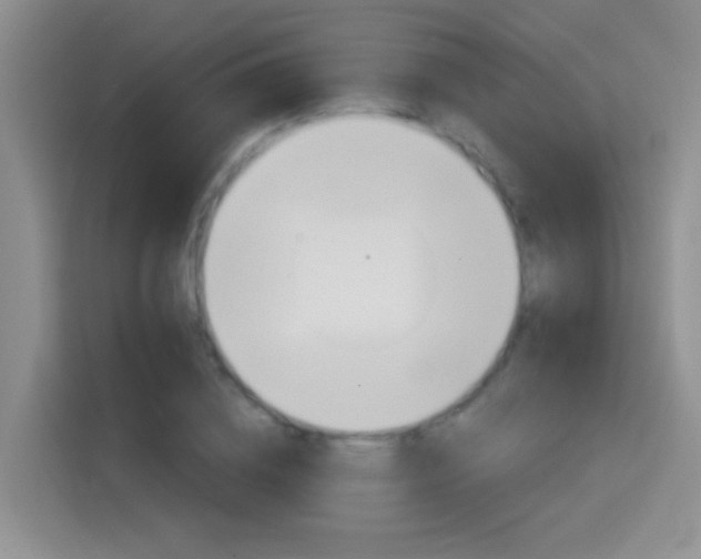 X0000114650836200910200959