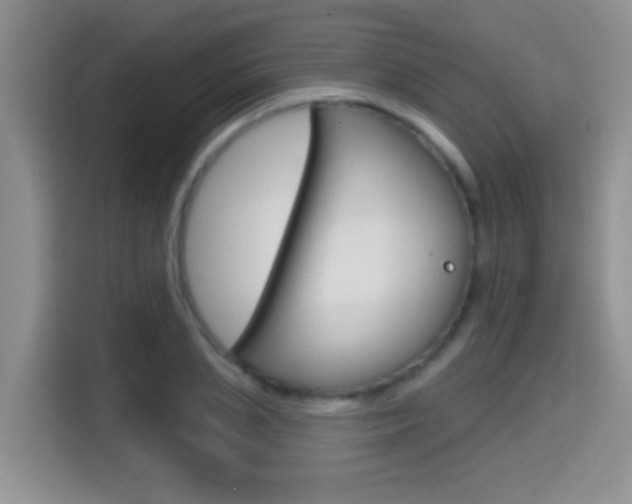 X0000114650837200910200959