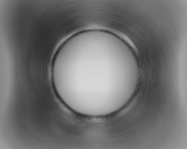X0000114650839200910200959