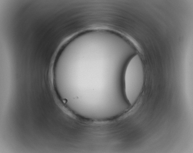 X0000114650840200910200959