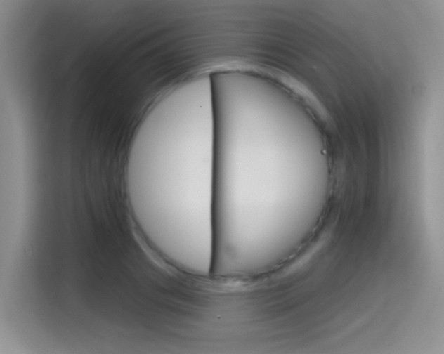 X0000114650841200910200959