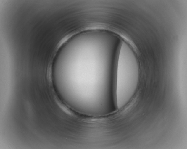 X0000114650842200910200959