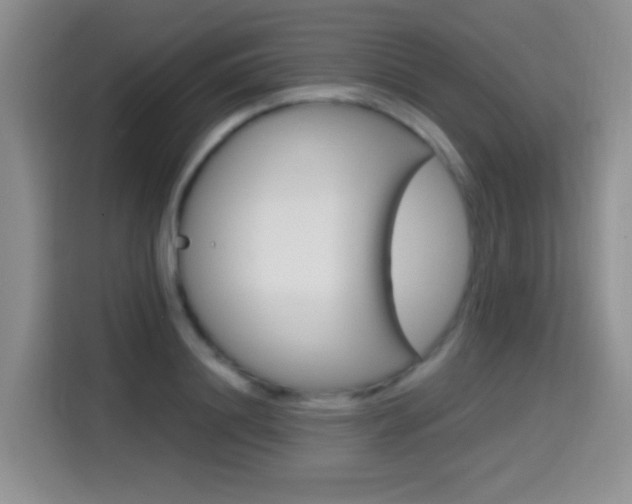X0000114650844200910200959