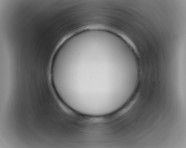 X0000114650845200910200959