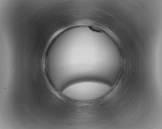 X0000114650846200910200959