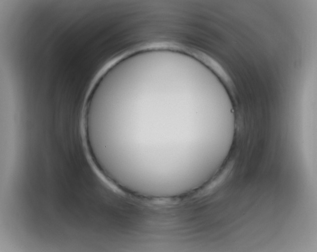X0000114650847200910200959