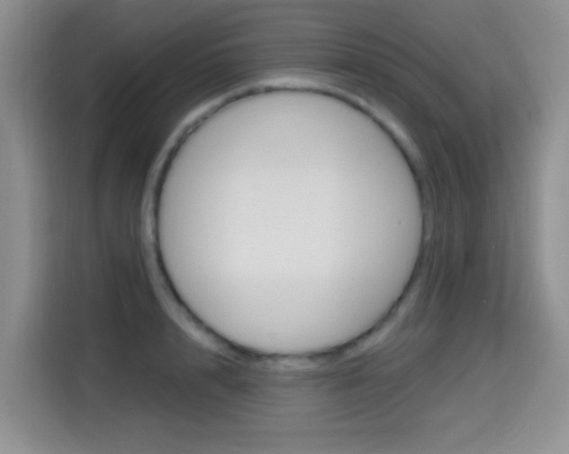 X0000114650848200910200959