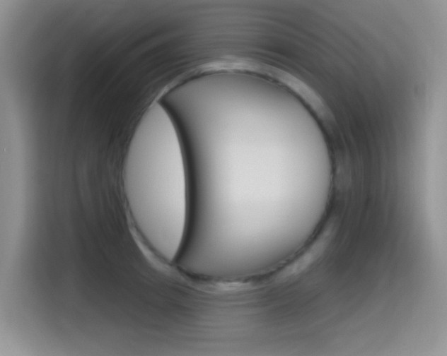X0000114650849200910200959