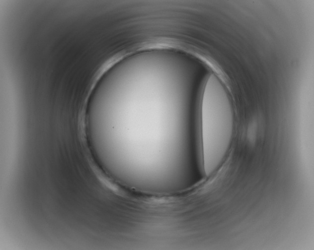 X0000114650850200910200959