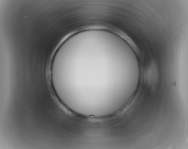 X0000114650852200910200959
