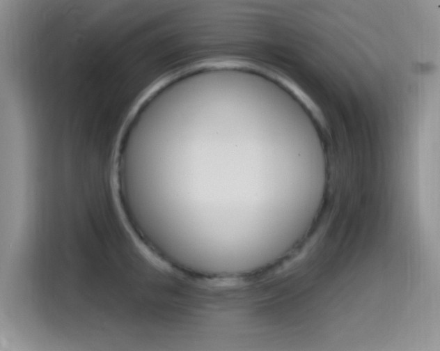 X0000114650853200910200959