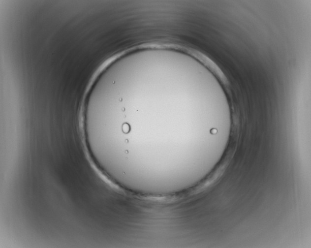 X0000114650855200910200959
