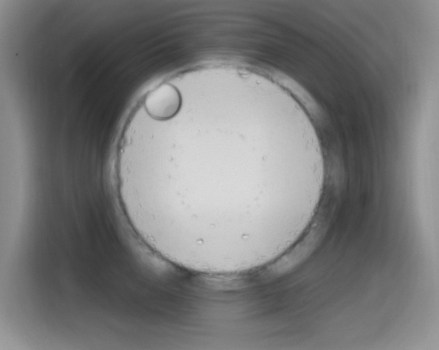 X0000114650856200910200959