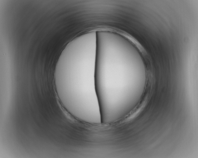 X0000114650857200910200959